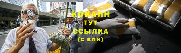 шишки Армянск