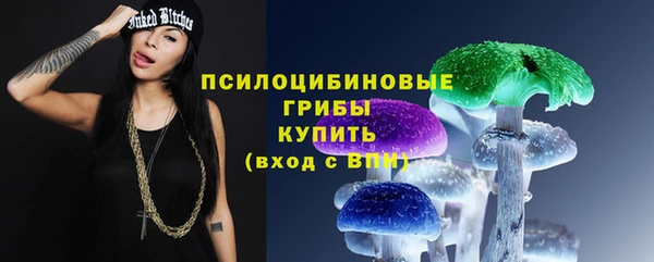 мяу мяу мука Аркадак