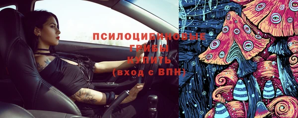 мяу мяу мука Аркадак