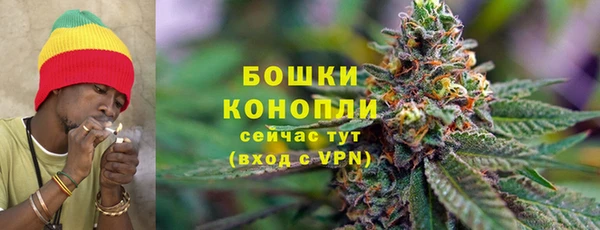 индика Переславль-Залесский