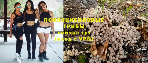 мяу мяу мука Аркадак