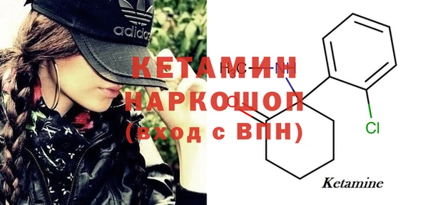 стаф Пересвет