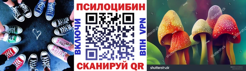 blacksprut как зайти  Сенгилей  darknet телеграм  Галлюциногенные грибы GOLDEN TEACHER 